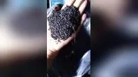 Carvão ativado granular à base de carvão para purificação de água